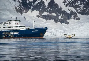 Den Naturschätzen Islands ganz nah auf der MS Plancius