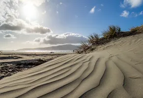 Kapiti Island iStock © Tokerau Jim-Images