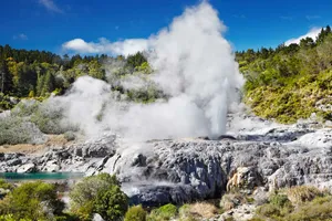 Geysir in Rotorua, Neuseeland