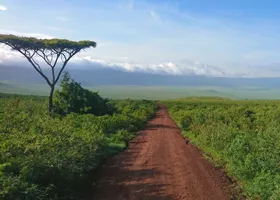 Ngorongoro-Krater
