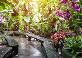 Orchid Garden AdobeStock © sornchai