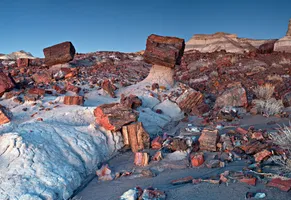 Petrified Forest © National Park Service 