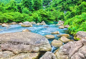 Phong Nha Nationalpark