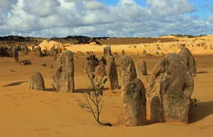 Die berühmten Pinnacles im Nambung-Nationalpark