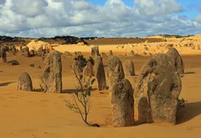Pinnacles im Nambung Nationalpark