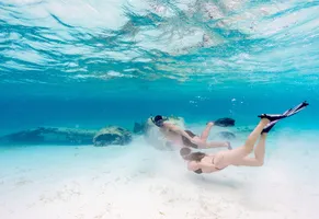 Tauchen in herrlicher Unterwasserwelt, Exumas © Bahamas Ministry Of Tourism