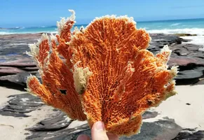 Kalbarri-Nationalpark