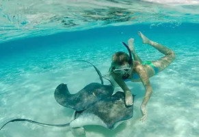 Mit Mantarochen auf Tuchfühlung, Stingray City