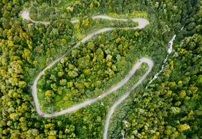 Straße der Carretera Austral im Nationalpark Queulat