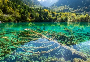 Jiuzhaigou-Nationalpark AdobeStock © zhuxiaophotography