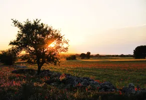 Idyllische Natur in Apulien