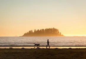 Tofino