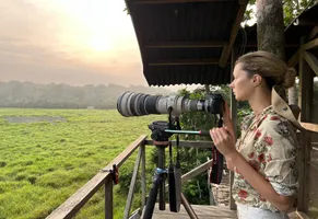 Plattform im Mbeli-Bai-Nouabale-Ndoki-Nationalpark © Expéditions Ducret