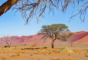 Sossusvlei
