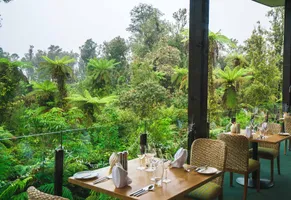 Te Waonui Forest Retreat