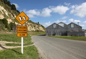 Schild in Oamaru, wo zahlreiche Zwerpinguine leben AdobeStock © jeayesy