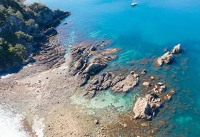 Waiheke Island AdobeStock © Rodrigo