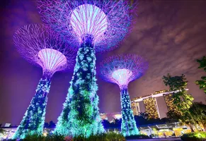 Supertrees in Gardens by the Bay