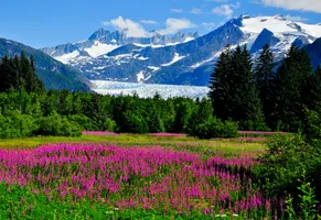 Medenhall Glacier, Juneau, Alaska AdobeStock © Mike