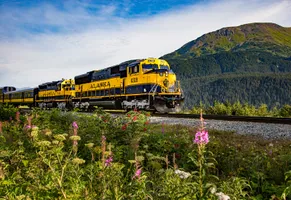 Alaska Railroad © Glenn Aronwits