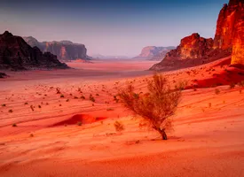reise_jordanien_wadi_rum_istock-2250674251_tomasz_podolski.jpg