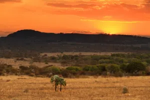Sonnenuntergang im Isalo-Nationalpark 