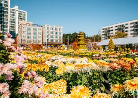 Tongdosa Tempel zur Herbstzeit in Yangsan AdobeStock © Sanga