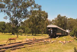 Unterwegs mit dem Rovos Rail durch Südafrikas einmalige Naturlandschaften