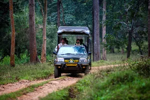 Geländewagen-Safari in den Nationalparks von Indien