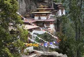 Tigernest auf 3.200 Höhenmetern