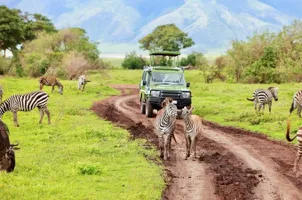 Safari im Tarangire Nationalpark ©afromaxx