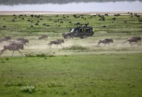 Safari in der Serengeti