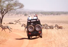 Auf Safari durch Südafrikas einzigartigen Nationalparks