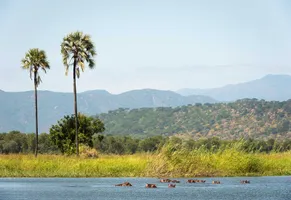 Liwonde-Nationalpark