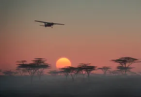 Flug über die Savanne
