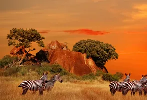 Serengeti-Nationalpark