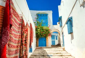 Der Künstlerdorf Sidi Bou Said