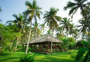 Üppiges Grün im Garten