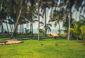 Weg zum von Palmen gesäumten Strand