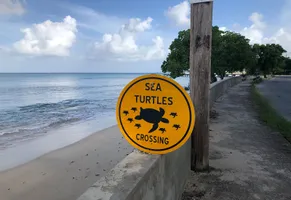 Strand bei Speightstown 