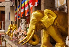Goldene Elefantenstatue im Sri Dalada Maligawa-Tempel