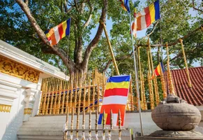 Der heilige Sri Maha Bodhi in Anuradhapura gilt als ältester von Menschen gepflanzter Baum der Welt und ist einer der bedeutendsten buddhistischen Pilgerorte Sri Lankas