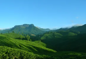 Teeplantagen in Munnar