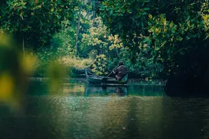 the-kerala-backwaters-6.webp