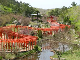Torii Schrein Takayama