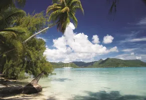 Traumstrand in der Karibik