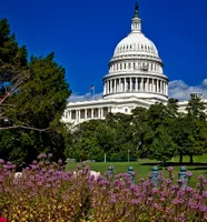 Das Weiße Haus in Washington DC