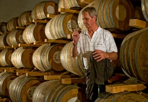 Südafrikas beliebte Weine kosten