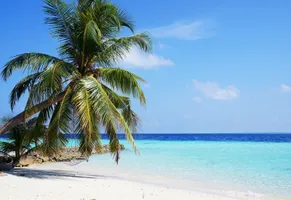 Weißer Sandstrand auf den Malediven im Indischen Ozean während Ihres Inselurlaubs