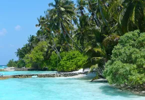 Weißer Sandstrand auf den Malediven mit türkisblauem Wasser und Palmen